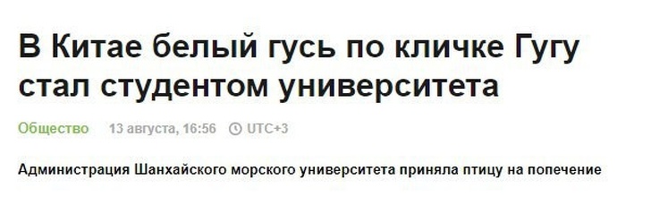 30 заголовків, в яких журналісти дали волю креативу