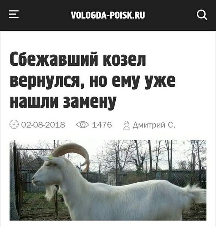 30 заголовків, в яких журналісти дали волю креативу