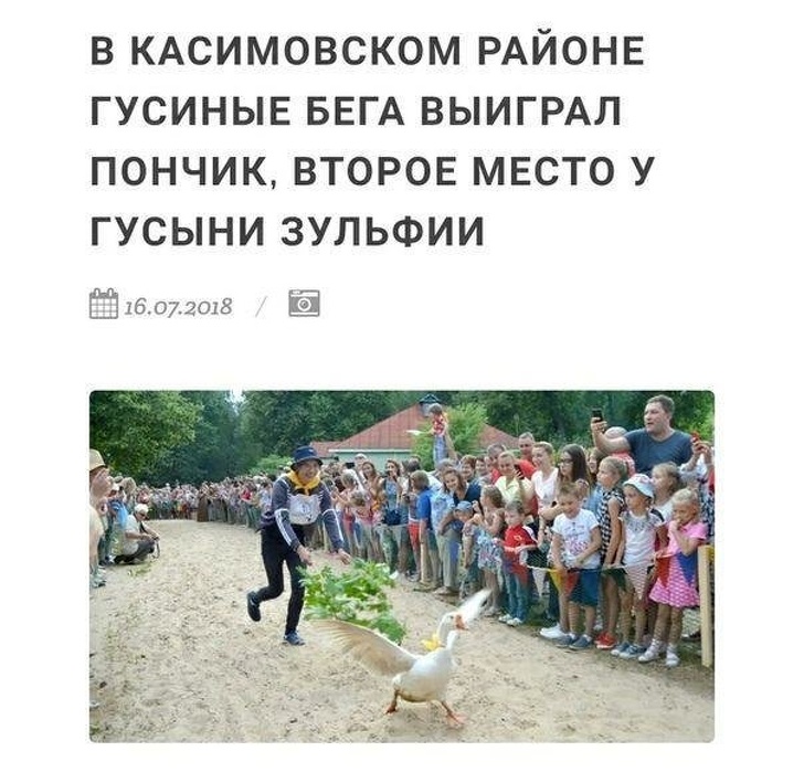 30 заголовків, в яких журналісти дали волю креативу