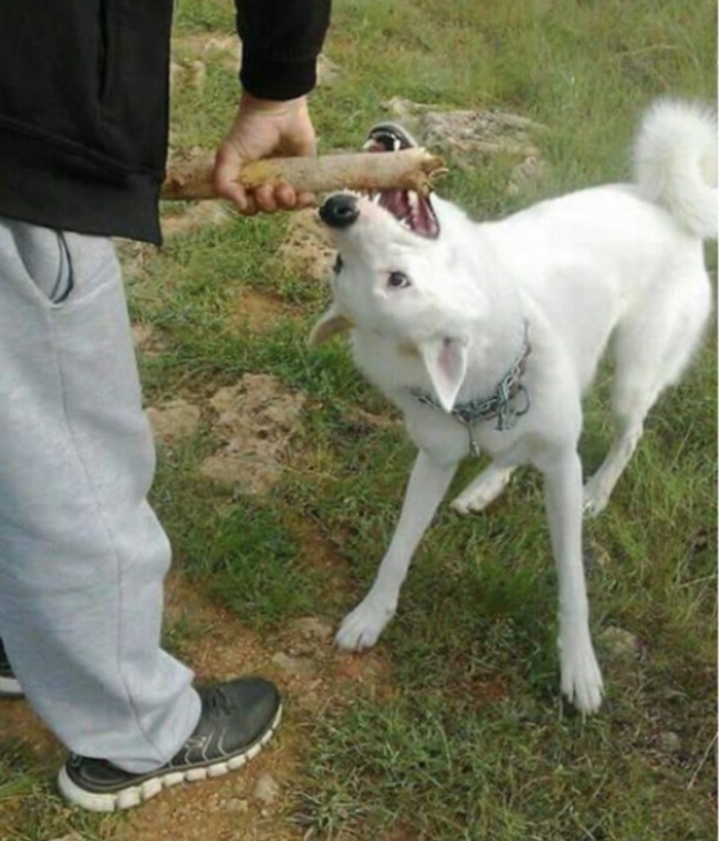 34 рідкісних фото, після перегляду яких ви скажете: «Очманіти!»