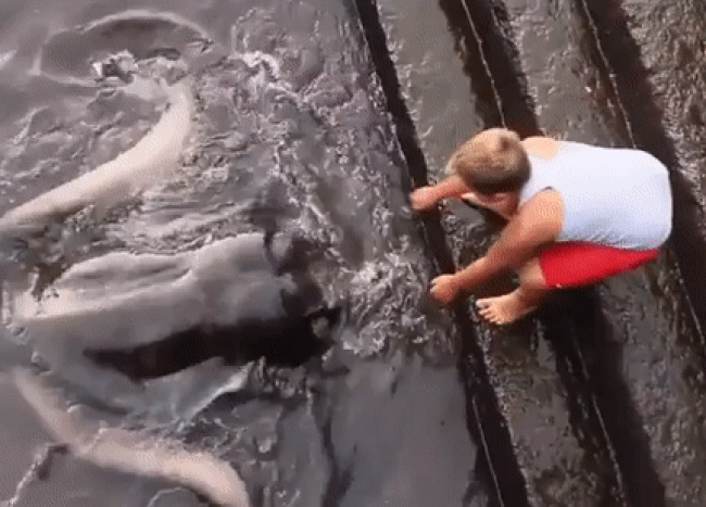 34 рідкісних фото, після перегляду яких ви скажете: «Очманіти!»