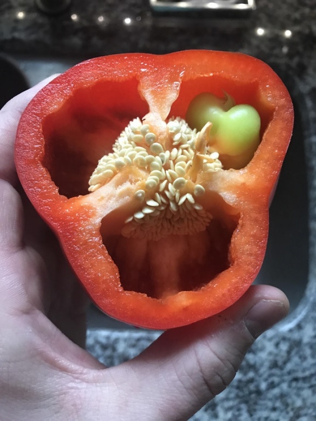 34 рідкісних фото, після перегляду яких ви скажете: «Очманіти!»