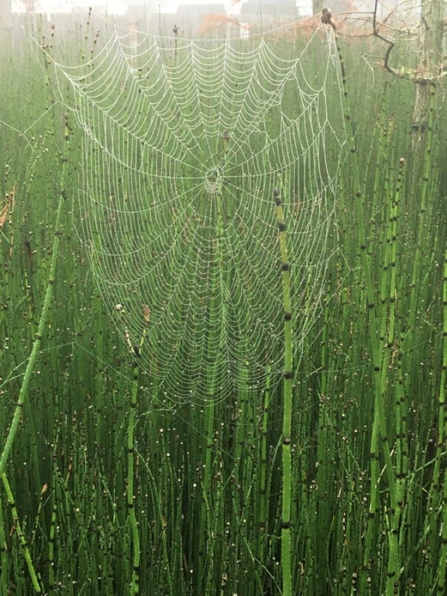 34 рідкісних фото, після перегляду яких ви скажете: «Очманіти!»