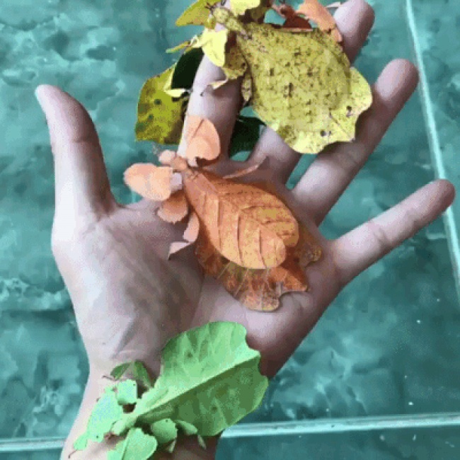 34 рідкісних фото, після перегляду яких ви скажете: «Очманіти!»