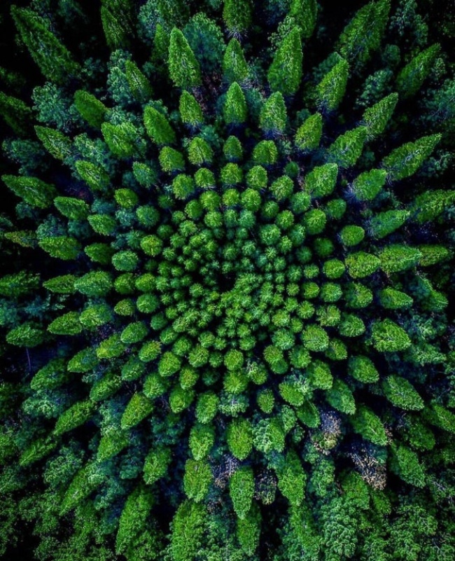 34 рідкісних фото, після перегляду яких ви скажете: «Очманіти!»