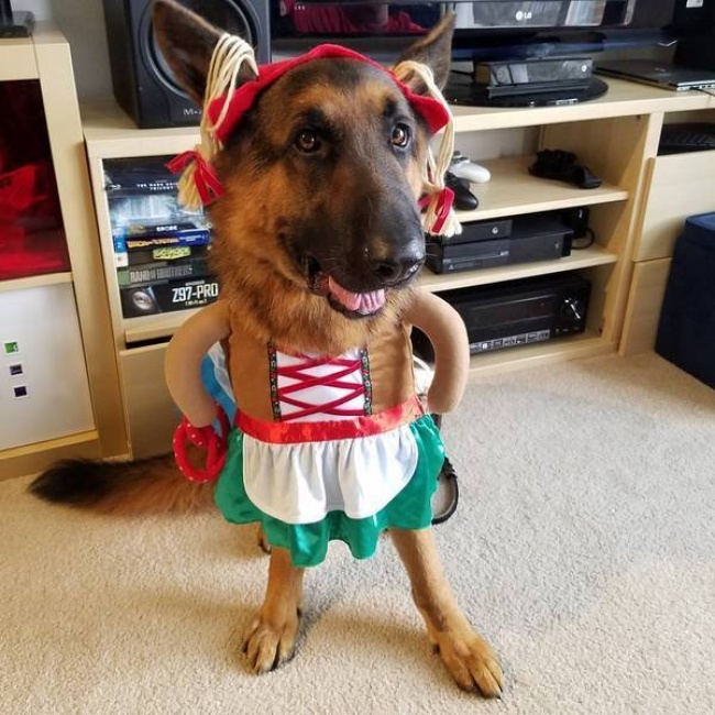 37 кращих косплеев, які могли зробити тільки люди з багатою фантазією