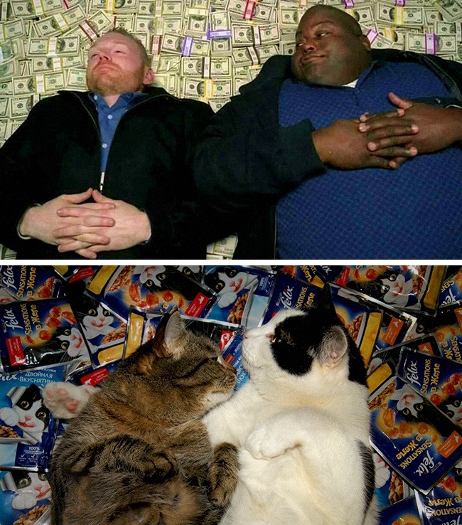 37 кращих косплеев, які могли зробити тільки люди з багатою фантазією