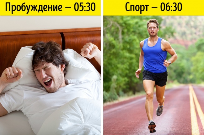 Є 4 типи людей, і кожному з них треба лягати спати в різний час