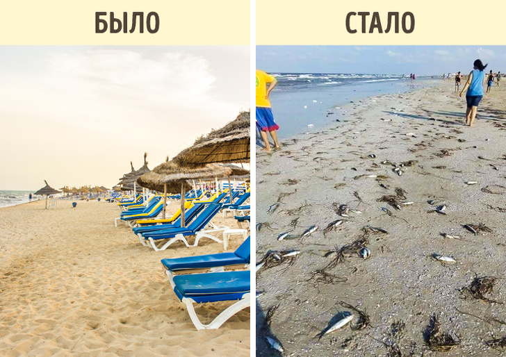 7 доказів того, що відбувається з пляжами по всьому світу — справжня катастрофа