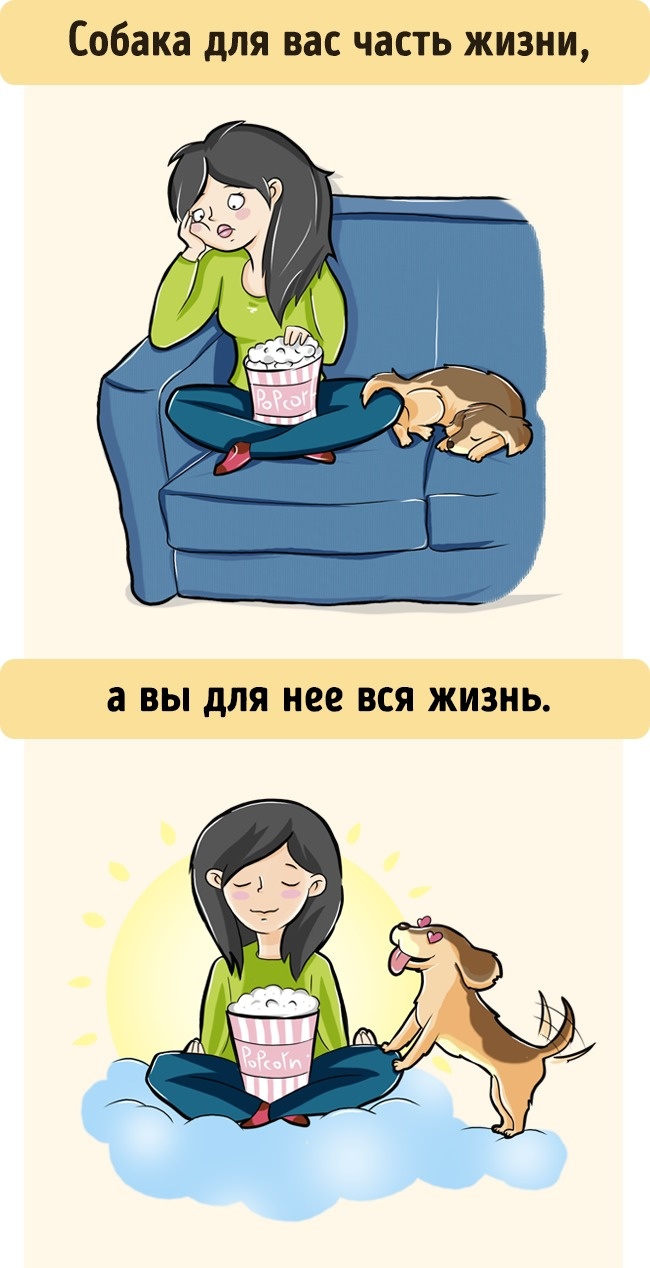 7 ілюстрацій про те, як нас бачить собака