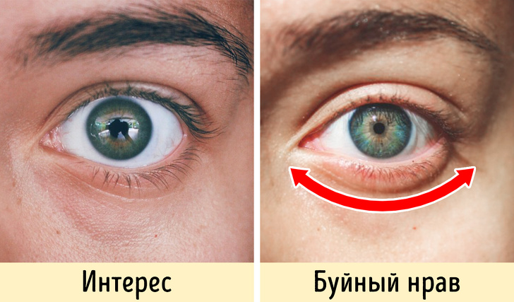 8 речей, які оточуючі дізнаються про вас при першій зустрічі. Хочете ви цього чи ні