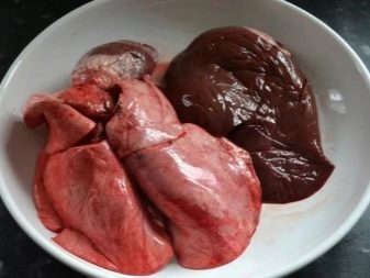 Прикорм цуценят (18 фото): коли вводити перший прикорм? Що давати цуценятам у віці двох і трьох тижнів?