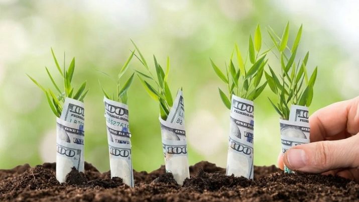 Професія перекладач: плюси і мінуси, опис. Де вчитися і яка зарплата у технічного перекладача? Затребуваність і соціальна значимість спеціальності