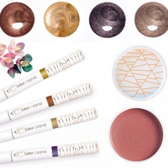 Професійна косметика (59 фото): бренди якісної косметики для косметологів і візажистів, марки косметики для рук