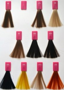 Професійна іспанська фарба для волосся: вибираємо фарбу з Іспанії, палітра фарби Salem і фарб інших іспанських брендів