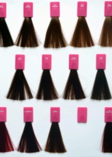 Професійна іспанська фарба для волосся: вибираємо фарбу з Іспанії, палітра фарби Salem і фарб інших іспанських брендів