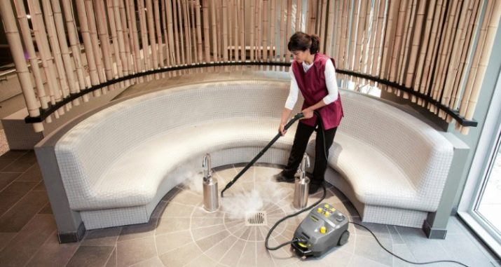 Професійний парогенератор: вибираємо пароочисник для прасування одягу вдома і в ательє, парові станції високого тиску для штор