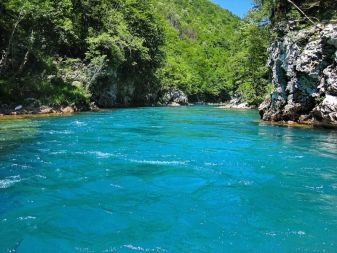 Річка Тара (40 фото): особливості річки в Чорногорії. Де саме знаходиться?