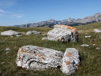 Річка Тара (40 фото): особливості річки в Чорногорії. Де саме знаходиться?