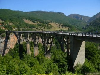 Річка Тара (40 фото): особливості річки в Чорногорії. Де саме знаходиться?