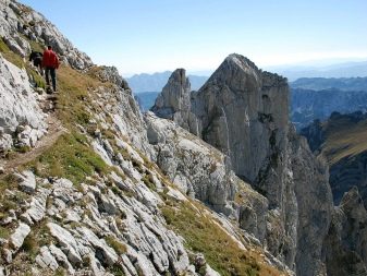 Річка Тара (40 фото): особливості річки в Чорногорії. Де саме знаходиться?