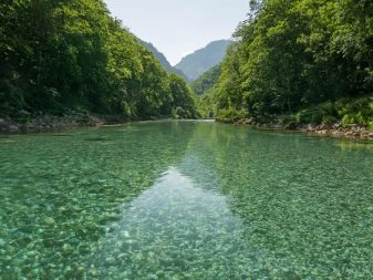 Річка Тара (40 фото): особливості річки в Чорногорії. Де саме знаходиться?