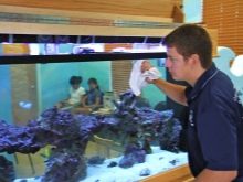 Ремонт акваріума (29 фото): що робити, якщо він потік по шву? Як відремонтувати акваріум своїми руками в домашніх умовах, щоб усунути текти?