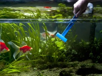 Ремонт акваріума (29 фото): що робити, якщо він потік по шву? Як відремонтувати акваріум своїми руками в домашніх умовах, щоб усунути текти?
