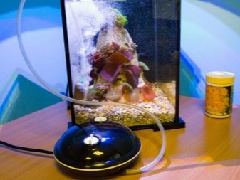 Ремонт акваріума (29 фото): що робити, якщо він потік по шву? Як відремонтувати акваріум своїми руками в домашніх умовах, щоб усунути текти?