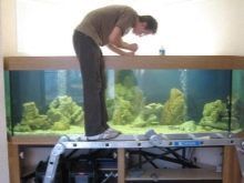 Ремонт акваріума (29 фото): що робити, якщо він потік по шву? Як відремонтувати акваріум своїми руками в домашніх умовах, щоб усунути текти?