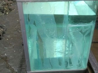 Ремонт акваріума (29 фото): що робити, якщо він потік по шву? Як відремонтувати акваріум своїми руками в домашніх умовах, щоб усунути текти?