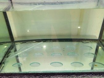 Ремонт акваріума (29 фото): що робити, якщо він потік по шву? Як відремонтувати акваріум своїми руками в домашніх умовах, щоб усунути текти?