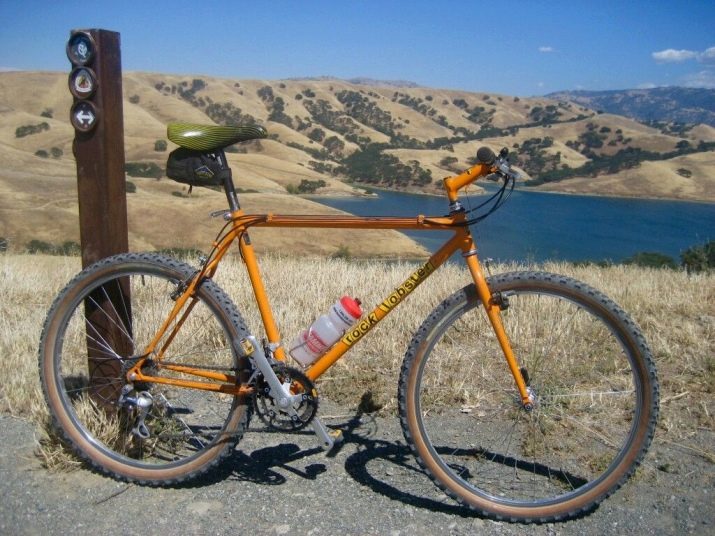 Ретровелосипед (28 фото): старовинний вінтажний жіночий велосипед з великим переднім колесом і кошиком, інші моделі