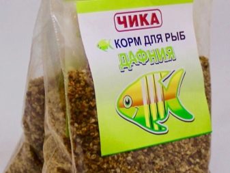 Рибка телескоп (36 фото): особливості утримання акваріумних риб чорного і золотого кольорів, основи догляду за акваріумом. З ким вживаються такі риби і скільки вони живуть?
