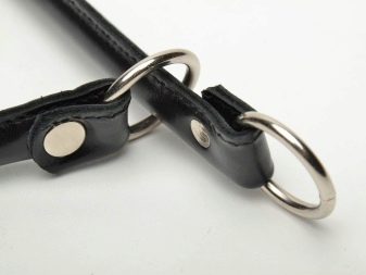 Ринговки для собак (22 фото): що це таке? Як вибрати поводок для виставки для собаки великої породи? Види ринговок