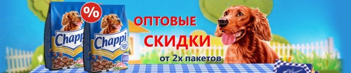 Ірландський сетер (46 фото): характеристика породи. Чому собак називають червоними? Характер дорослих собак, догляд за цуценятами в домашніх умовах