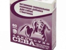 Ірландський сетер (46 фото): характеристика породи. Чому собак називають червоними? Характер дорослих собак, догляд за цуценятами в домашніх умовах