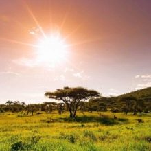 Родоліт (28 фото): що це за камінь? Дорогоцінний він чи ні? Магічні і лікувальні властивості рожевого граната