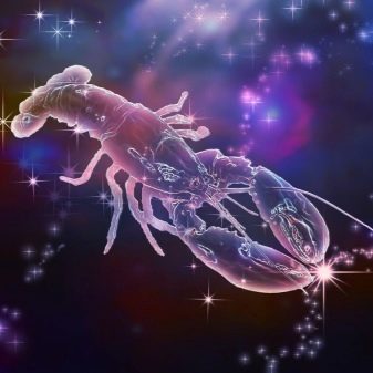 Рожеві камені (51 фото): назви дорогоцінних, напівкоштовних і виробних каменів рожевого кольору. Їх застосування у виготовленні ювелірних виробів