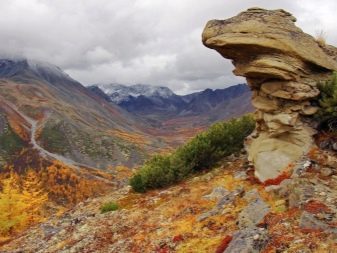 Рожевий кварц (фото 48): магічні та інші властивості каменю. Кому підходять вироби з кварцу рожевого кольору? Як виглядає кристал?