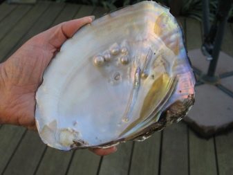 Рожевий перли: скільки коштує і з чим носити? Особливості каменю і його магічні властивості