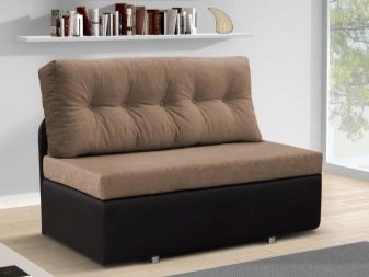 Розкладні дивани без підлокітників: моделі шириною 120, 130 і 140 см, маленькі 100 і 110 см, переваги і недоліки
