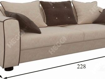 Розкладні дивани-софи (34 фото): вибираємо односпальний розсувний диван-ліжко, плюси і мінуси, матеріали та дизайн