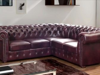 Розкладні дивани-софи (34 фото): вибираємо односпальний розсувний диван-ліжко, плюси і мінуси, матеріали та дизайн