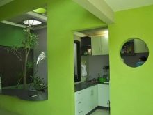 Салатові кухні (74 фото): особливості кухонного гарнітура салатового кольору в інтер’єрі кухні, варіанти дизайну шпалер в салатових тонах