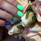 Салатовий манікюр (106 фото): дизайн нігтів яскраво-салатового і ніжно-салатового кольору з білим лаком