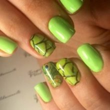 Салатовий манікюр (106 фото): дизайн нігтів яскраво-салатового і ніжно-салатового кольору з білим лаком
