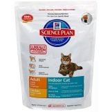 Самий якісний корм для кішок: таблиця кращих кормів за заявами ветеринарів. Топ бюджетних кормів для котів хорошої якості