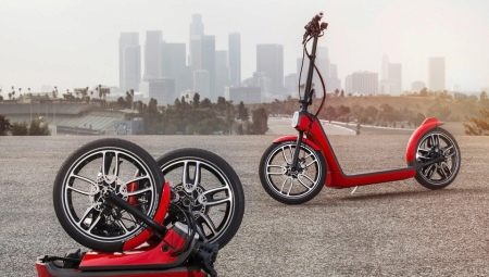 Самокат з великими колесами (44 фото): вибираємо моделі з широкими колесами і амортизаторами до 100 кг та інші самокати