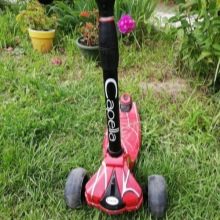 Самокати Capella: триколісні й двоколісні дитячі самокати-каталки та самокати беговелы зі світними колесами і без них